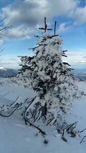 Wintry cold sky photo