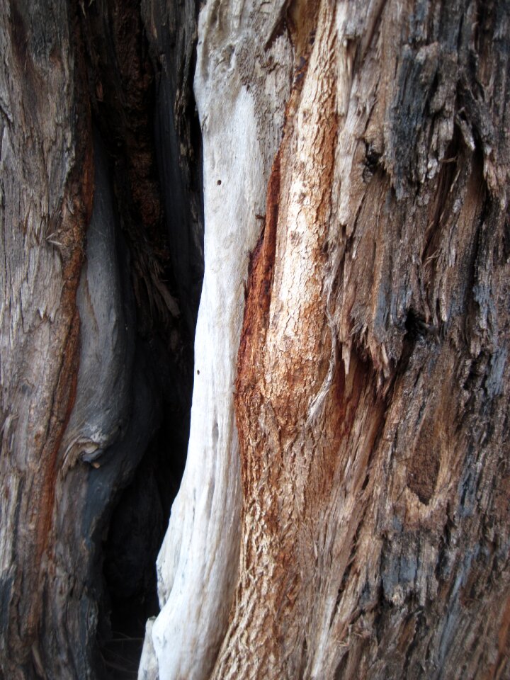 Rough weathered wood