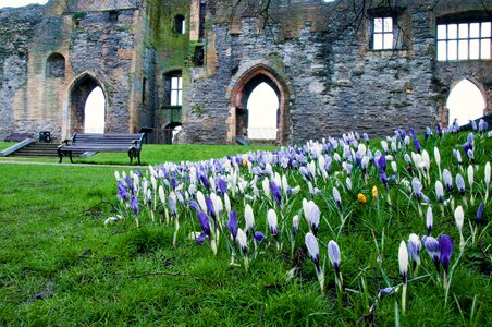 Castle newark arches