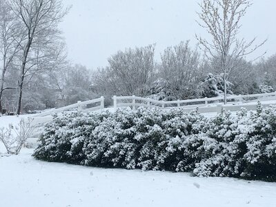 Nature white landscape