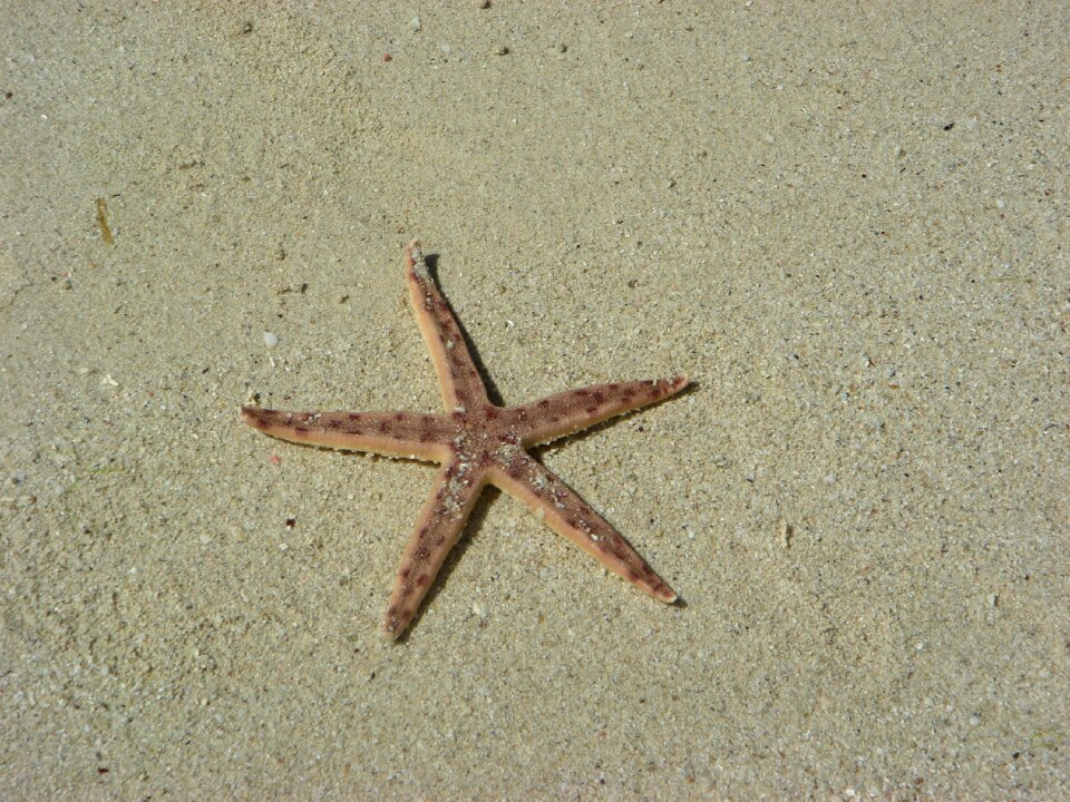 Beach sand