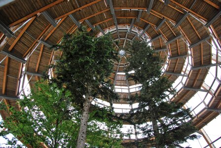 Bavarian forest tree trail spiral