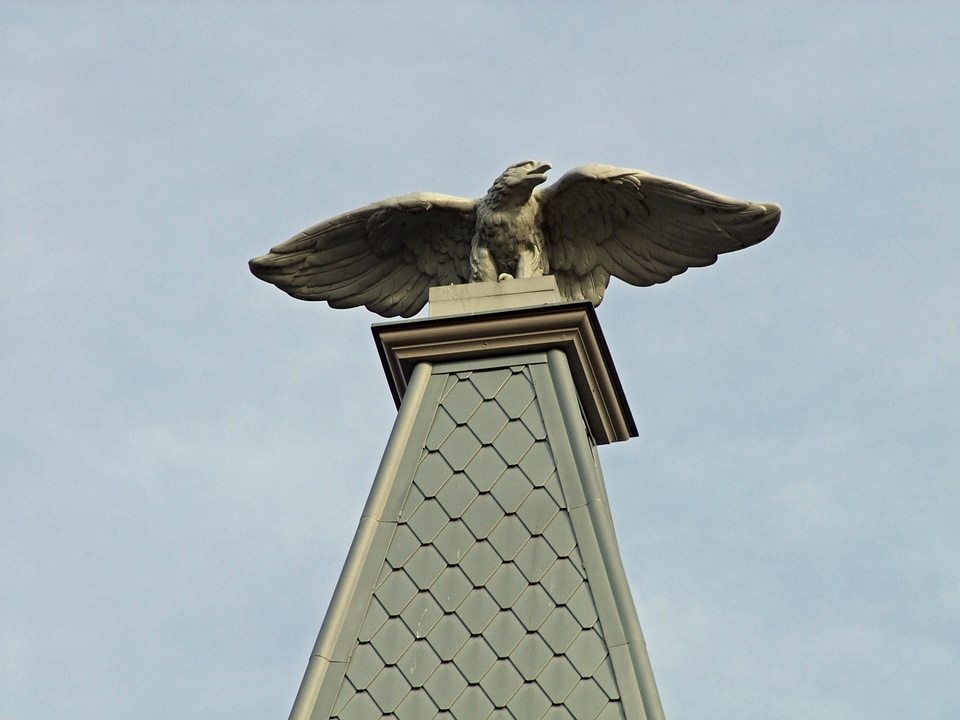 Adler bird spire
