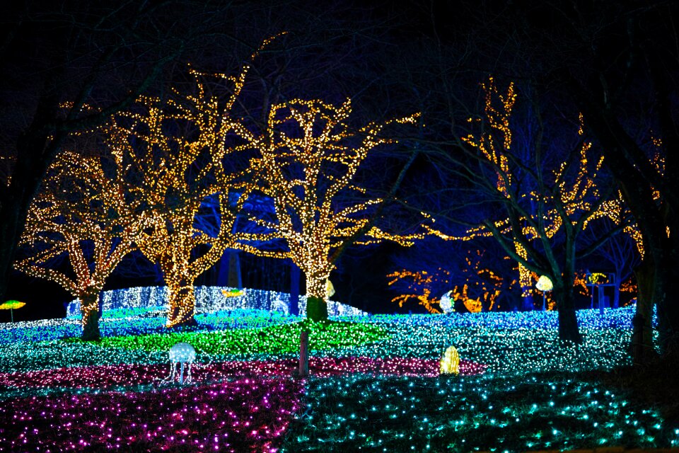 Japan amusement park light