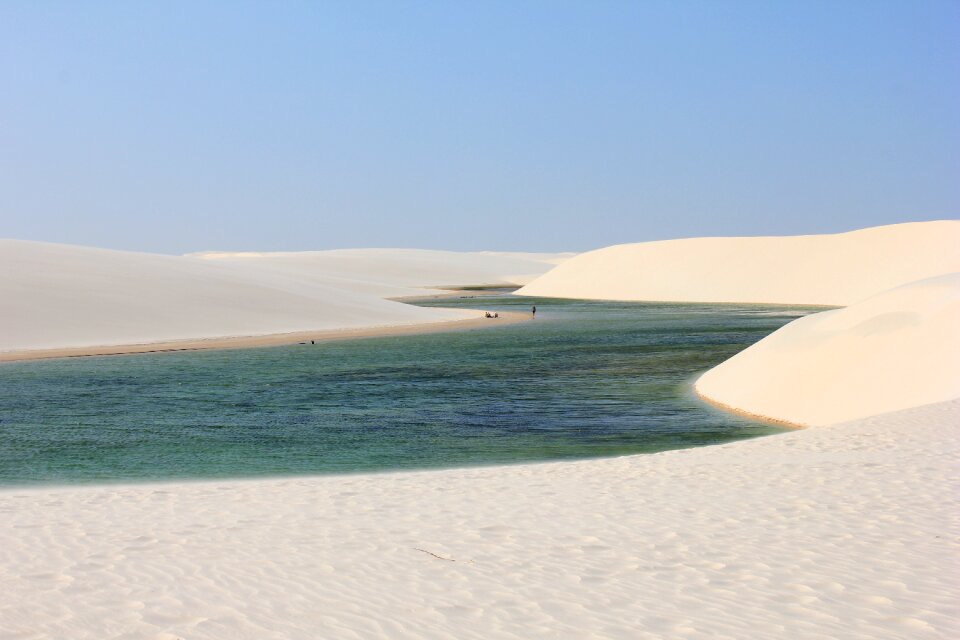 Brazilwood travel wild