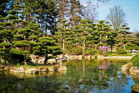 Nature park trees