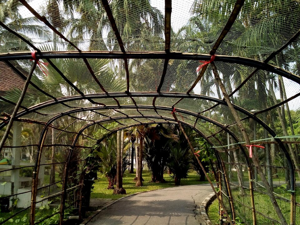 Pass through garden cropping