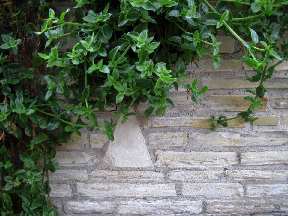 Brick wall aged old