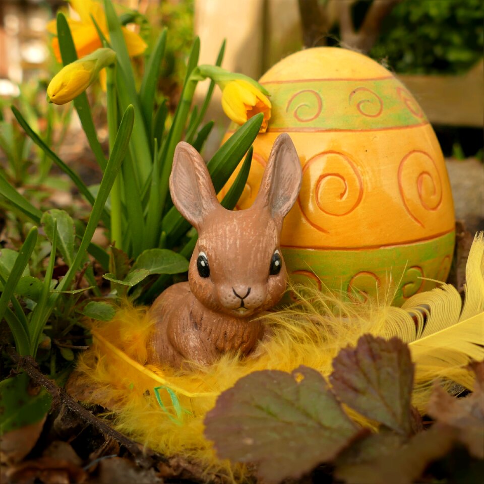Bunny figure funny