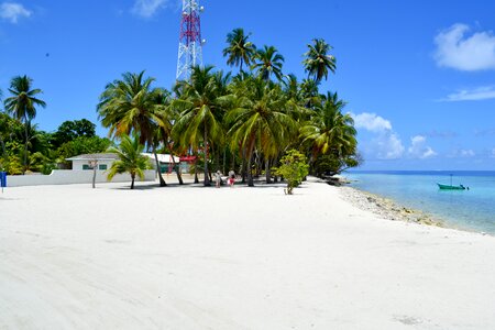 Beach palm trees house photo