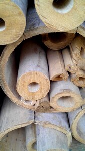 Background wooden colors