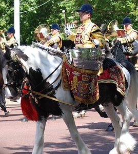 The mall london trooping the colour