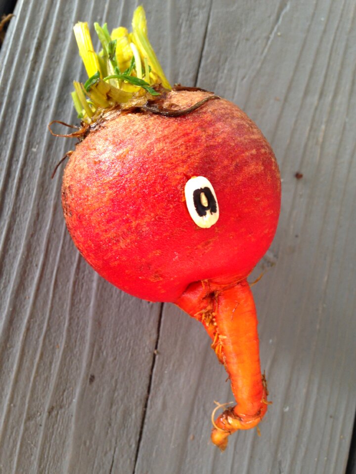 Vegetable healthy fresh
