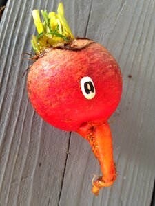 Vegetable healthy fresh