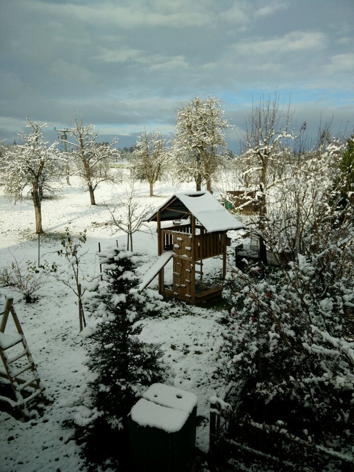 Winter snowy winter magic