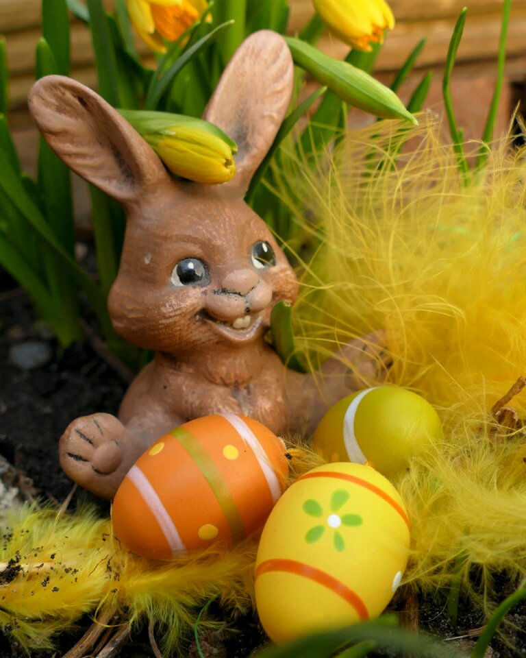 Funny sweet cute