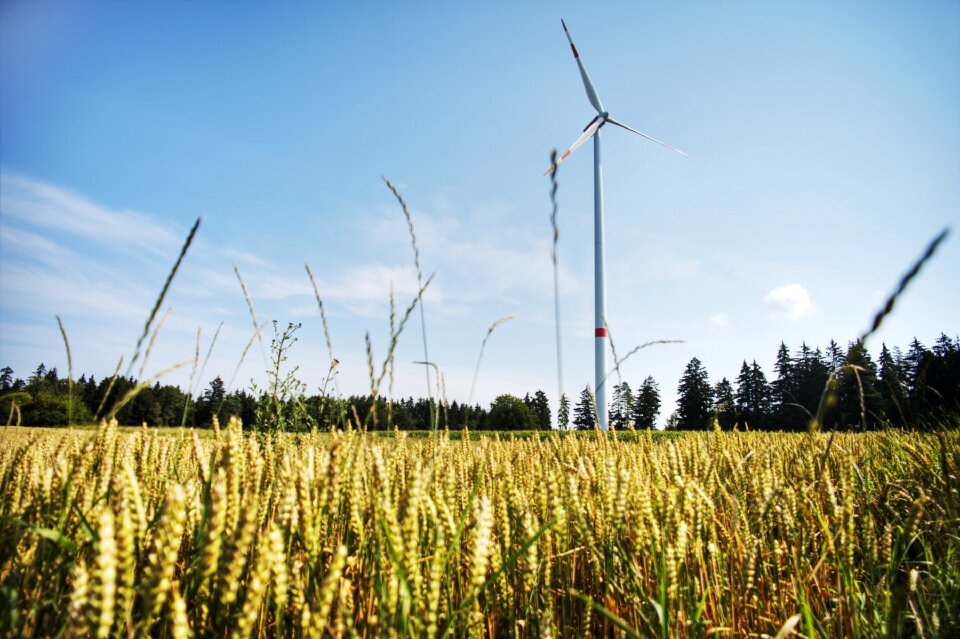 Power generation wind park environment