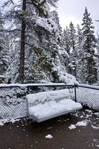 Snowfall white winter