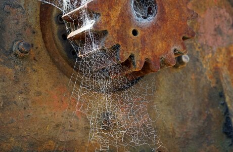 Gear web cobwebs