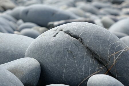 Seashore pebble nature photo