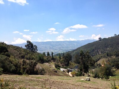 Colombia trees sky photo