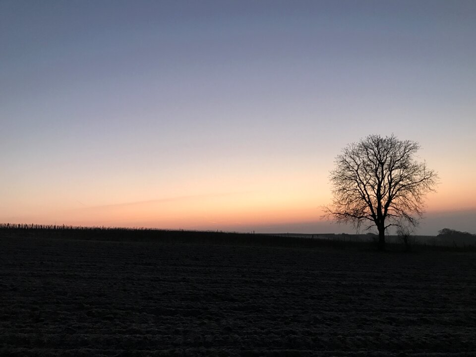 Sunrise landscape arable