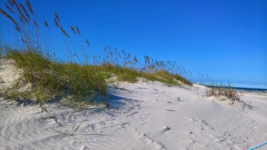 Outdoor beach america photo