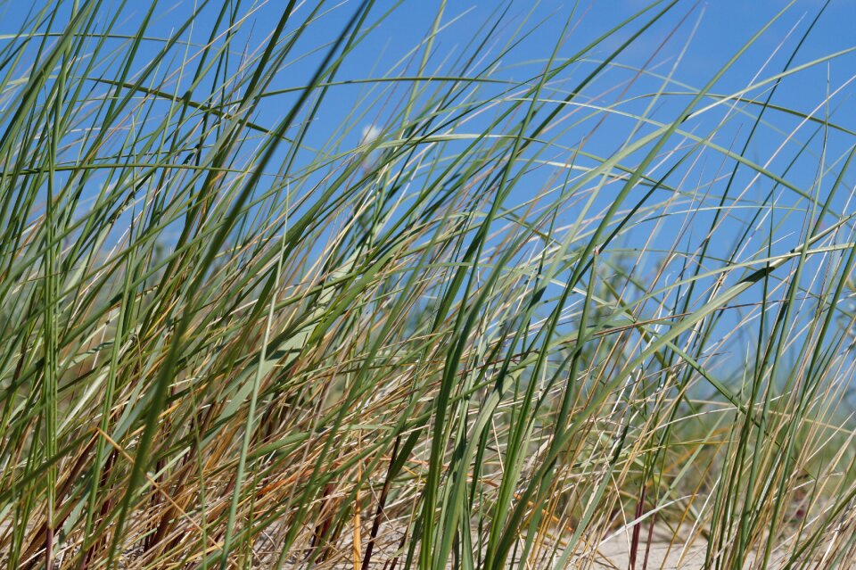 Green coast vacations