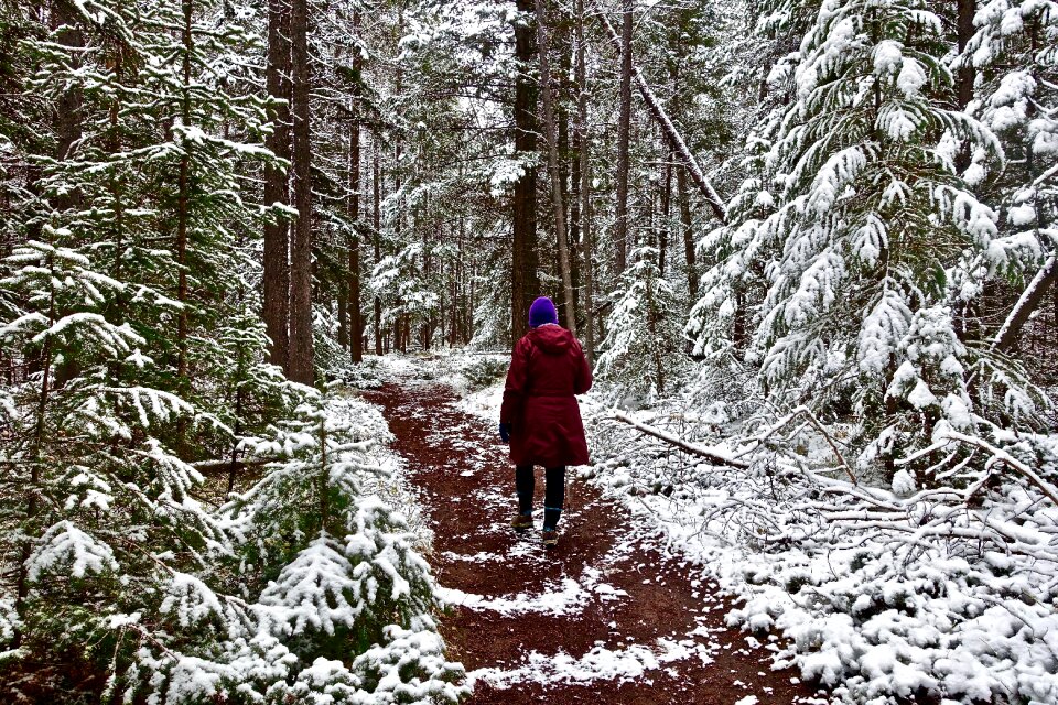 Female forest hiking