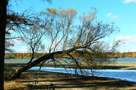 Kahl autumn nature photo