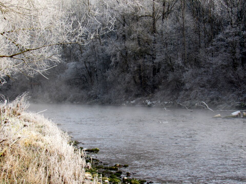 Hoarfrost winter magic fog
