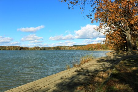 Autumn fall leaves hiking photo