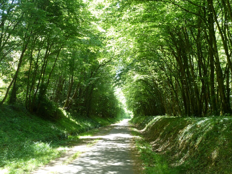 Countryside pathway perspective