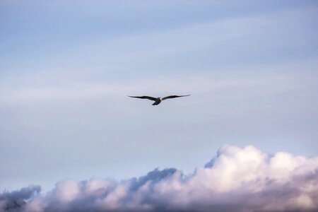 High nature clouds sky photo