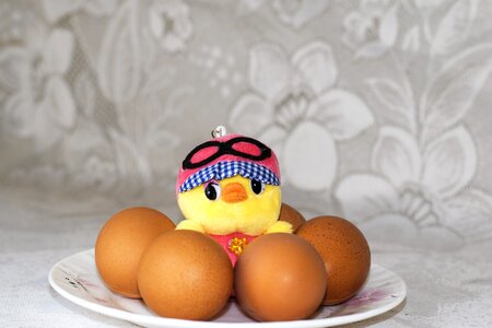 Chicken toy holiday