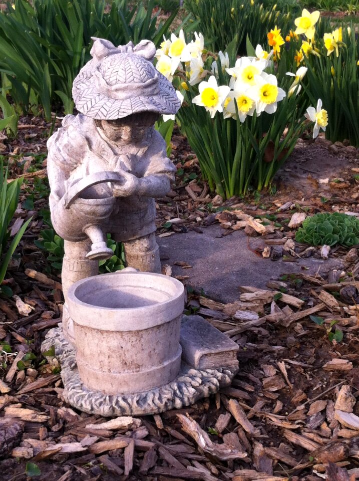 Plant gardening blooming