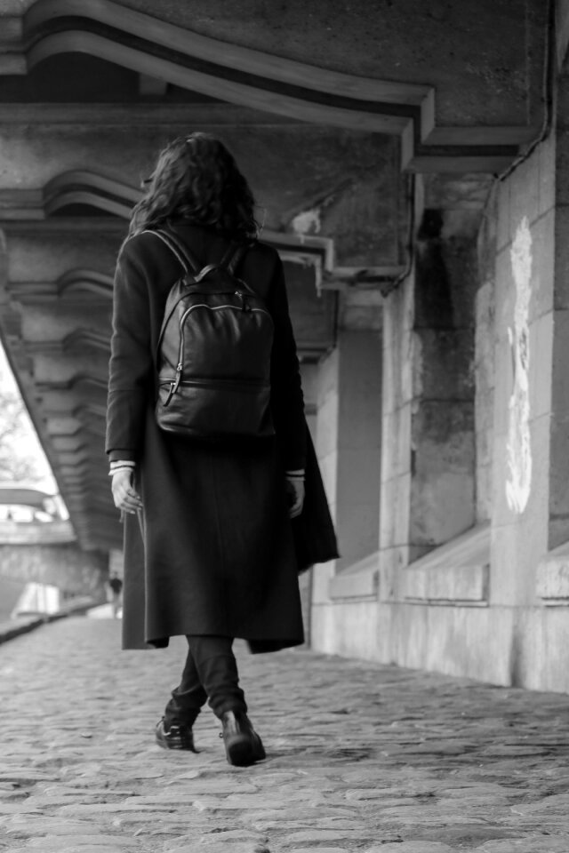 Beauty paris of the seine