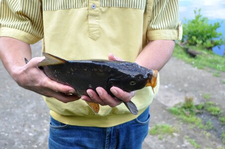 Carp hands keep