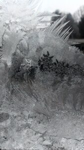 Winter ice frost photo
