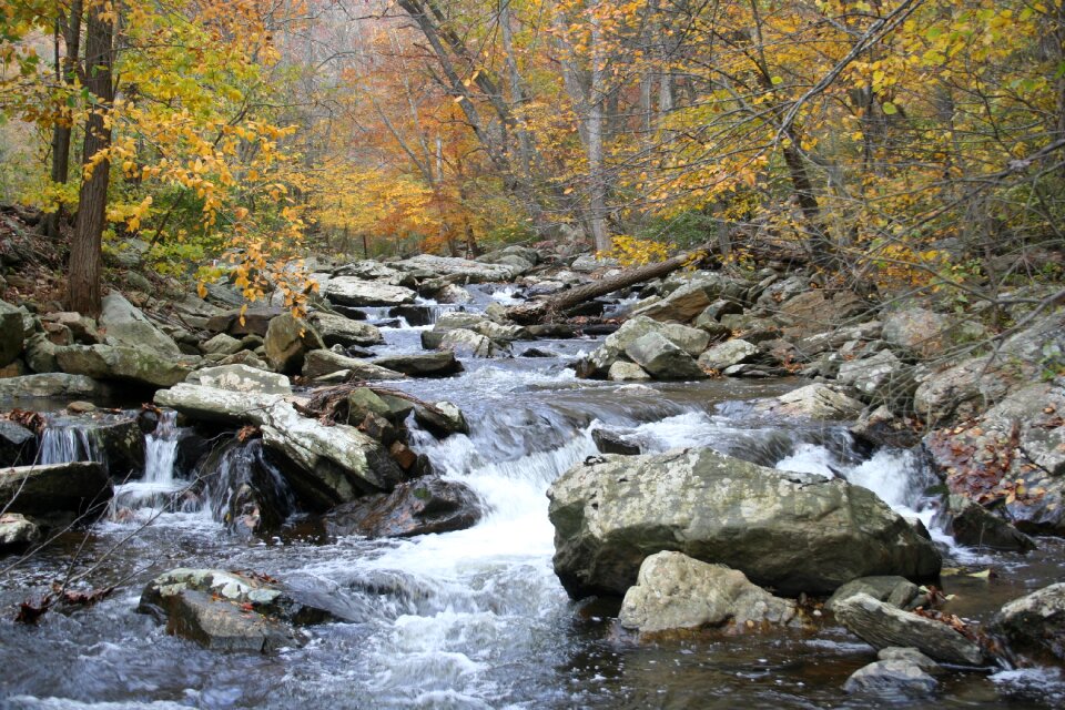 Creek nature outdoor