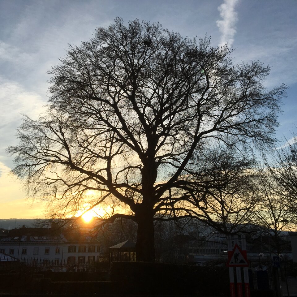 Sunset landscape winter
