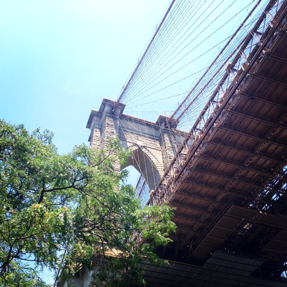 Dumbo under urban photo