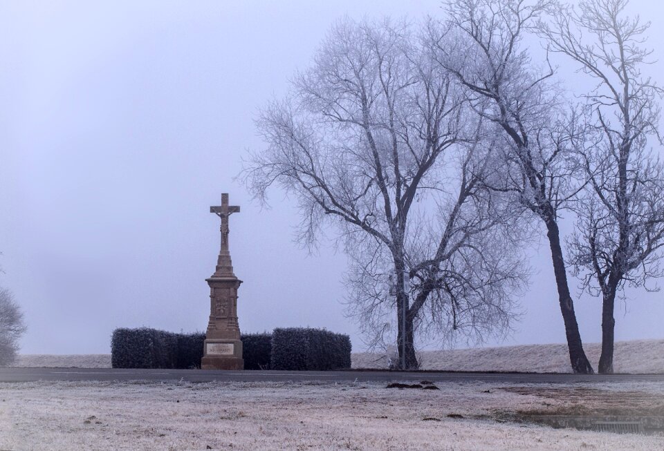 Cross religion trees