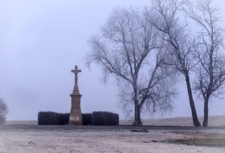 Cross religion trees