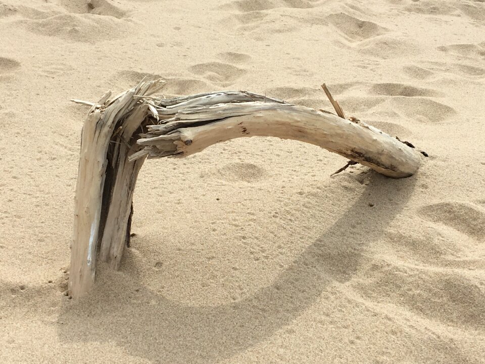 Coast island sand
