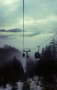 Forest cableway photo