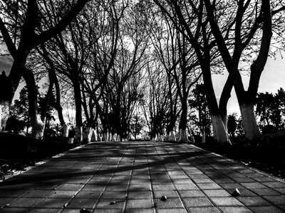 Black white abandoned