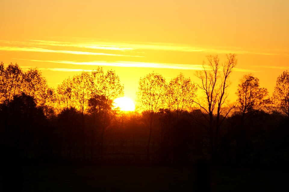 Landscape silhouette trees