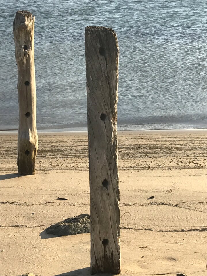 Posts sand landscape