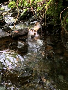 Stone river environment